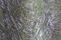 Little Wigborough fibreglass roof work